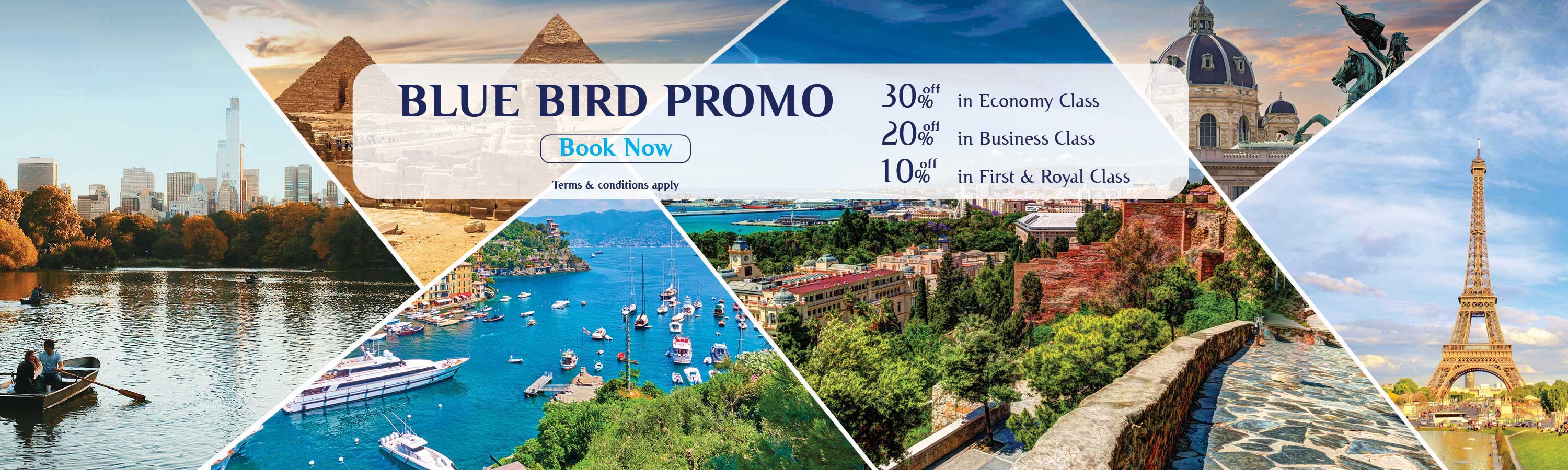 Blue Bird Offer